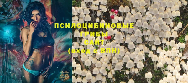 трава Михайловка