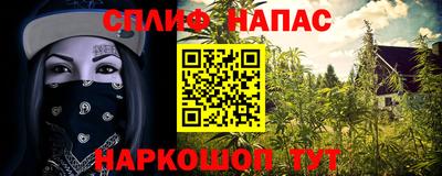 соль ск Кандалакша