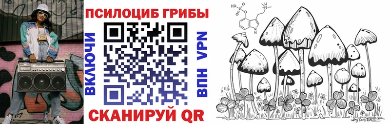 блэк спрут ONION  Мыски  Галлюциногенные грибы Psilocybine cubensis 