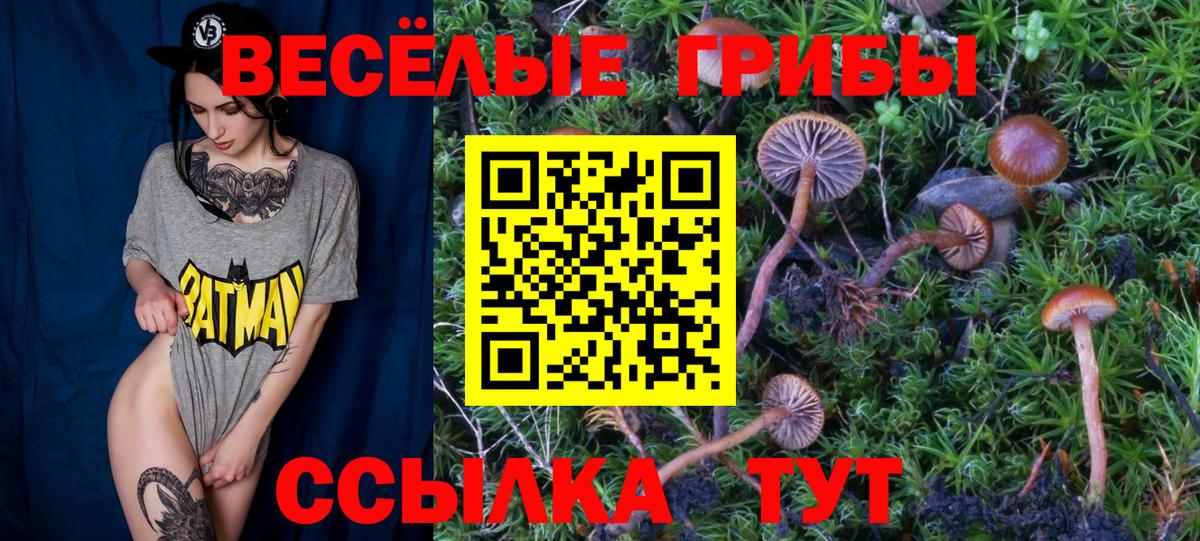цены   Вход с VPN  Галлюциногенные грибы прущие грибы  Мыски  Галлюциногенные грибы мицелий 